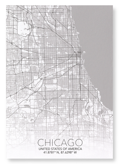 CHICAGO FULL MAP: Map Full Art Print