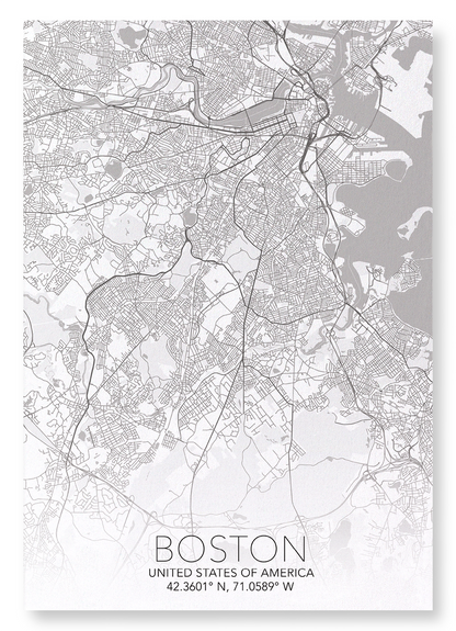 BOSTON FULL MAP: Map Full Art Print