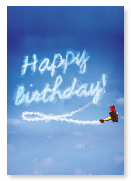 BIRTHDAY PLANE: Photo Art Print
