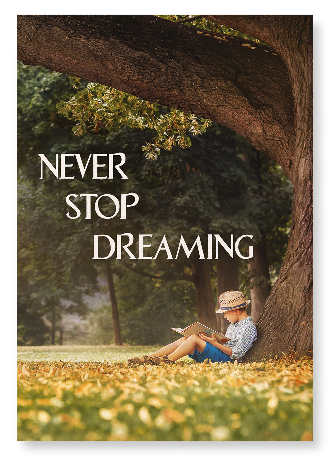 NEVER STOP DREAMING: Photo Art print