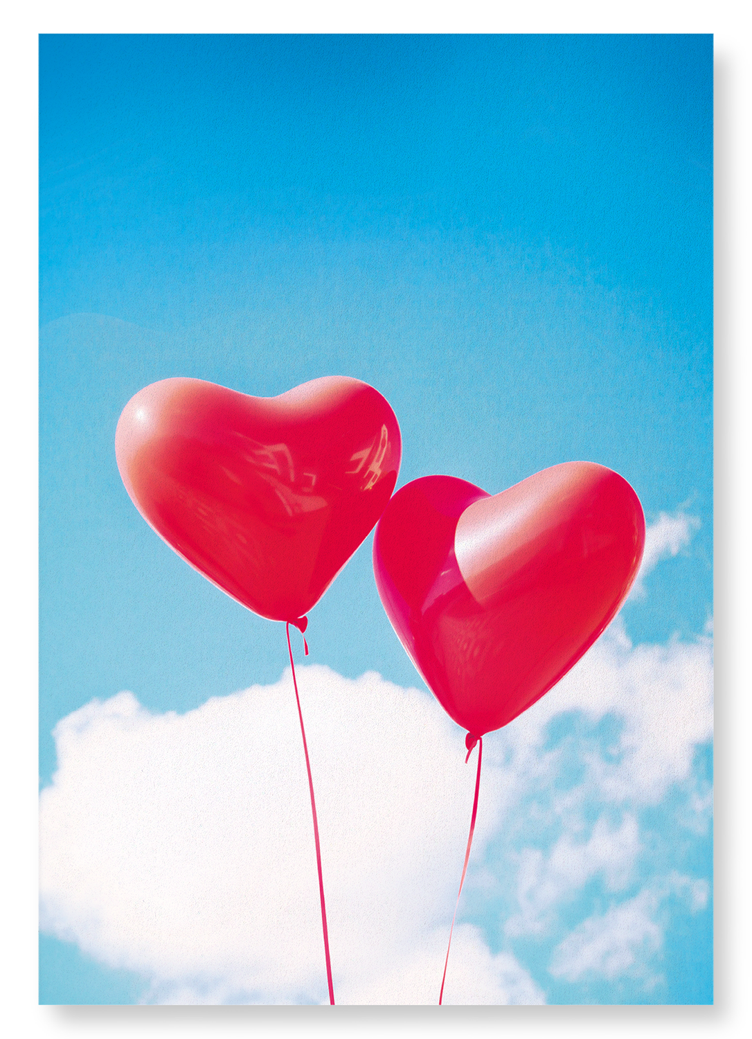 LOVE IS IN THE AIR: Photo Art Print