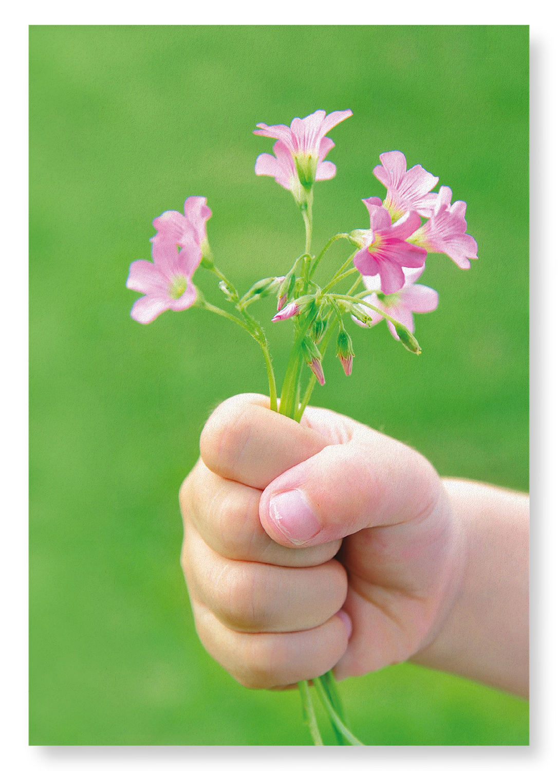 BUNCH OF FLOWERS: Photo Art Print