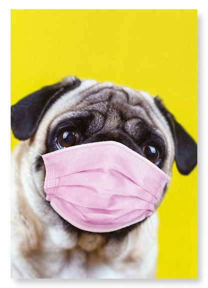 PUG MASK: Photo Art Print