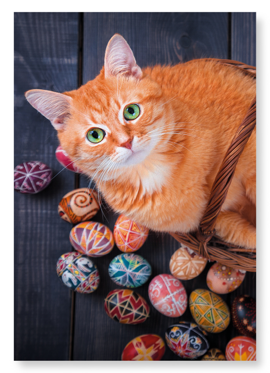 EASTER CAT: Photo Art Print
