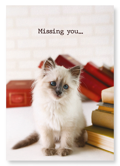 MISSING YOU: KITTEN: Photo Art Print