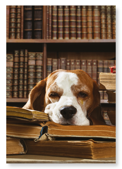 DOG OF LITERATURE: Photo Art Print