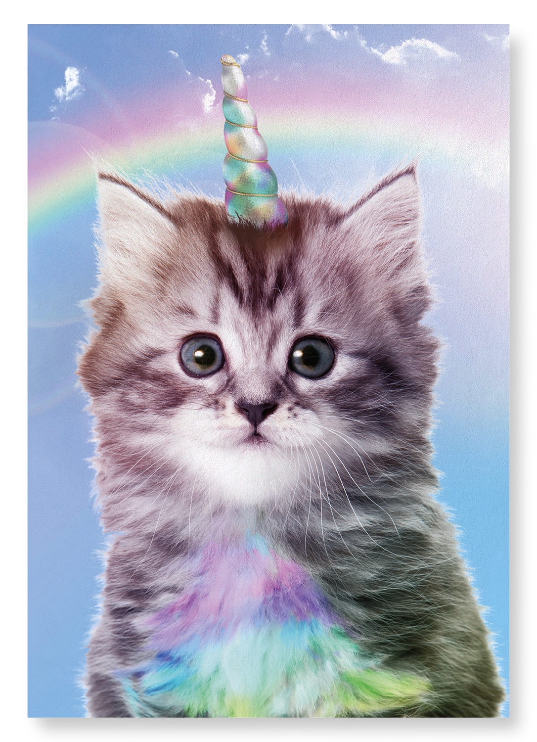 UNICORN CAT: Photo Art print