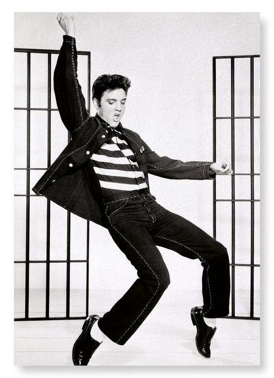 JAILHOUSE ROCK NO.1: Photo Art Print