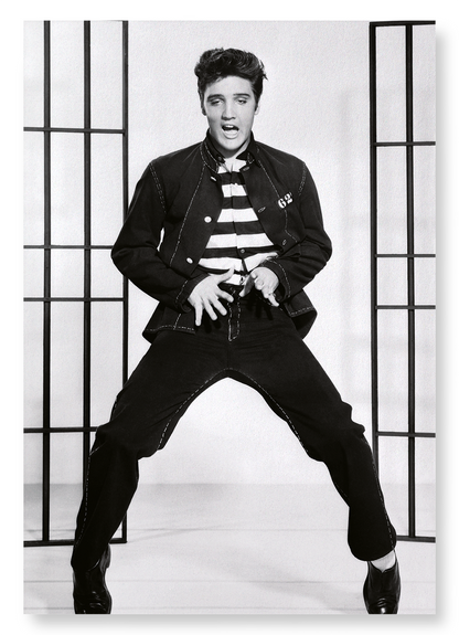 JAILHOUSE ROCK NO.2: Photo Art Print