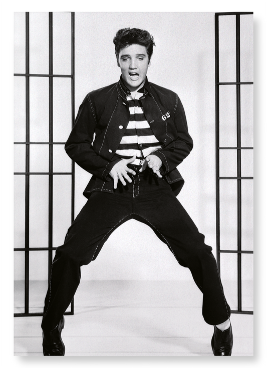 JAILHOUSE ROCK NO.2: Photo Art Print