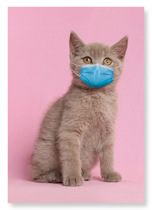 KITTEN WITH MASK: Photo Art Print