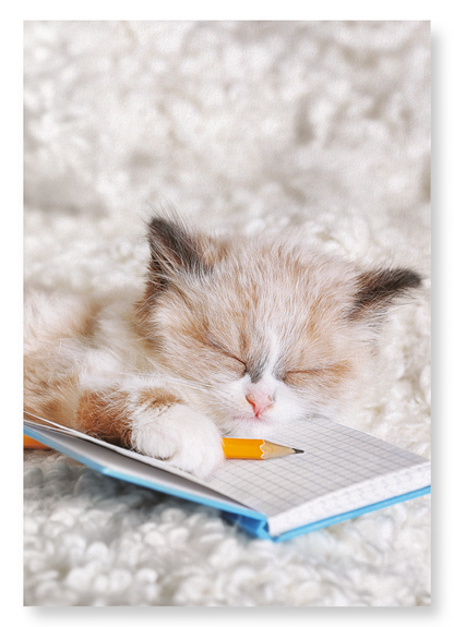 KITTEN AND NOTEBOOK: Photo Art Print