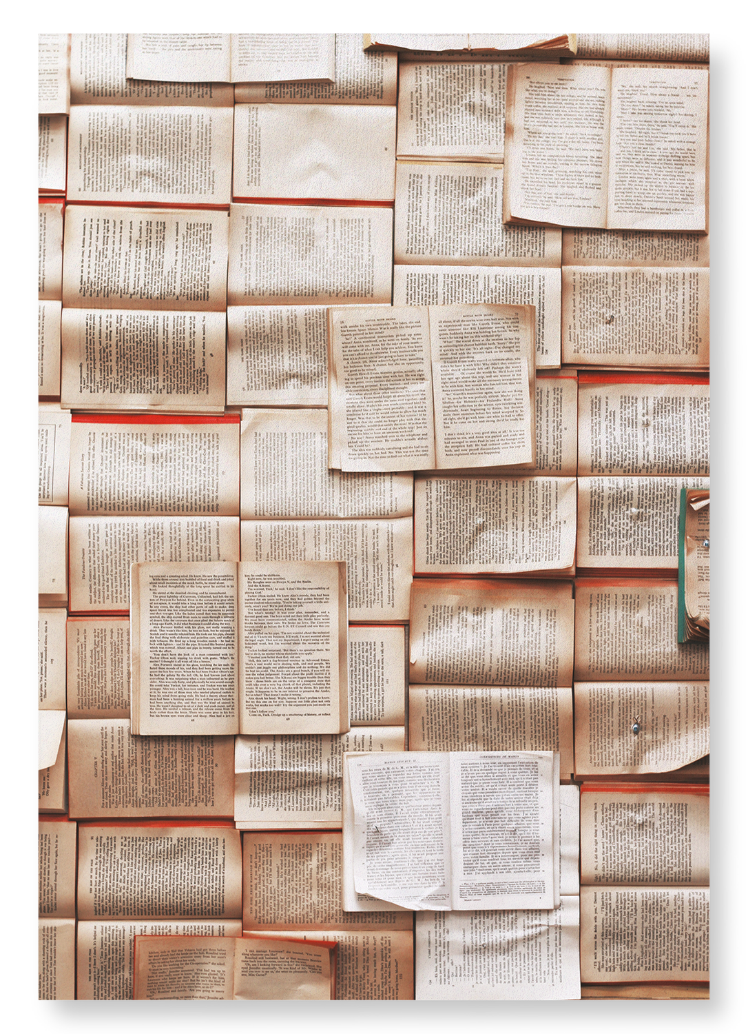 PAGES OF BOOKS: Photo Art Print