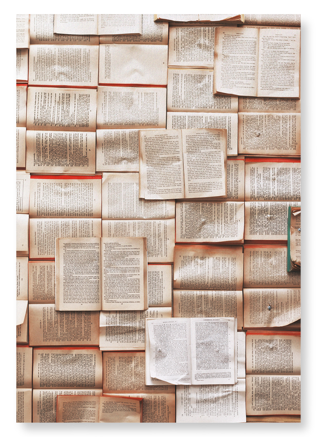 PAGES OF BOOKS: Photo Art print