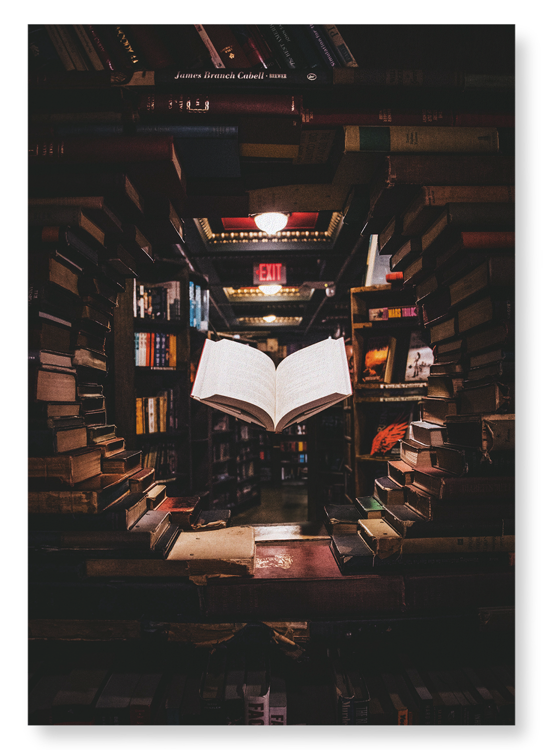 FLOATING BOOK: Photo Art Print