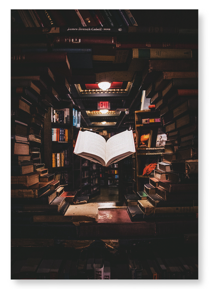 FLOATING BOOK: Photo Art Print