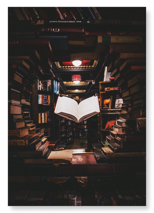 FLOATING BOOK: Photo Art Print