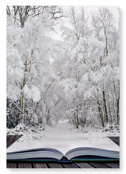 LITERARY WINTER WONDERLAND: Photo Art Print