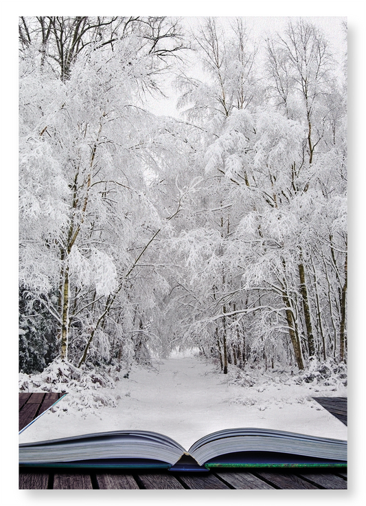 LITERARY WINTER WONDERLAND: Photo Art Print