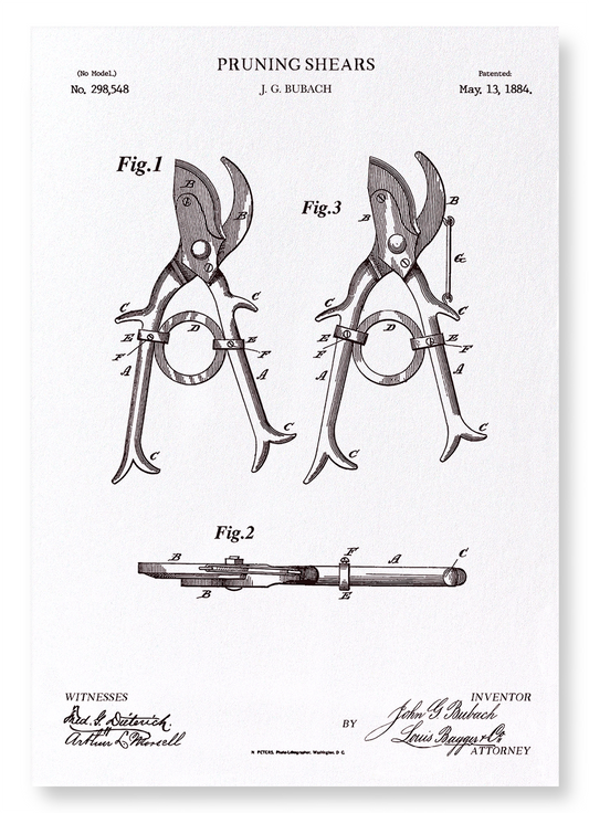 PATENT OF PRUNING SHEARS (1884): Patent Art Print