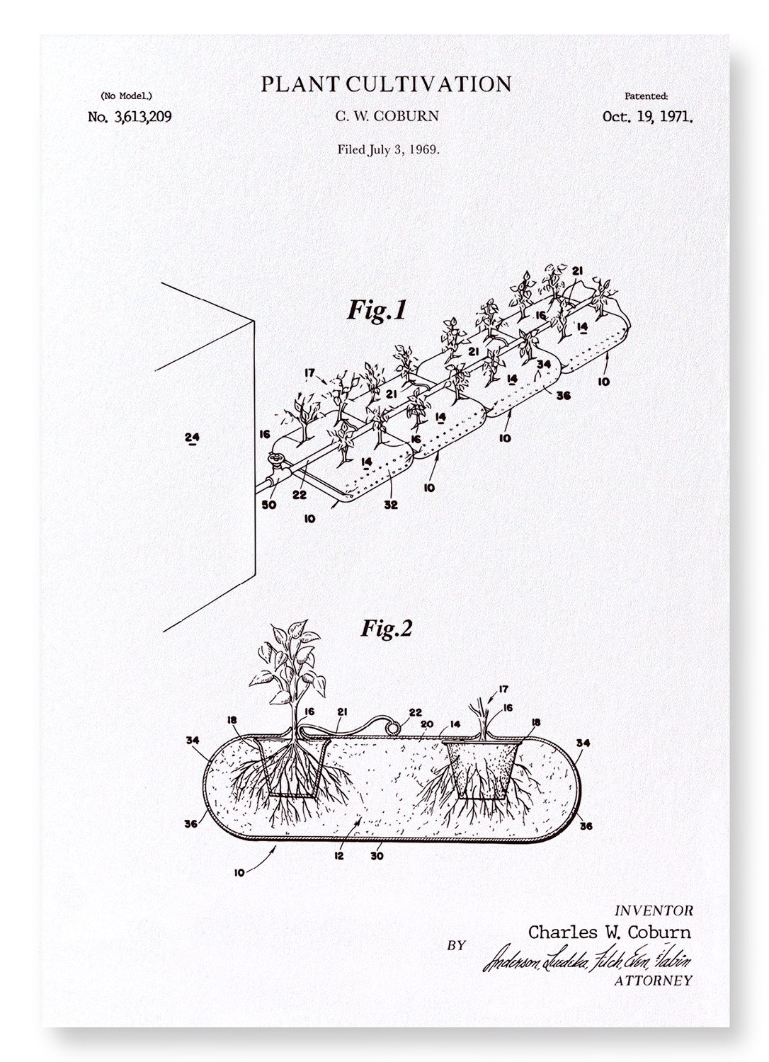 PATENT OF PLANT CULTIVATION (1971): Patent Art Print