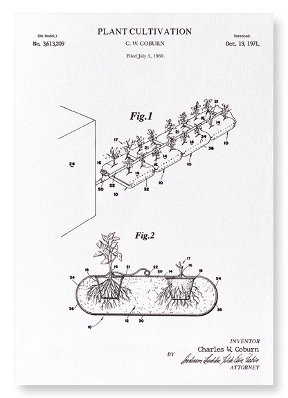 PATENT OF PLANT CULTIVATION (1971): Patent Art Print