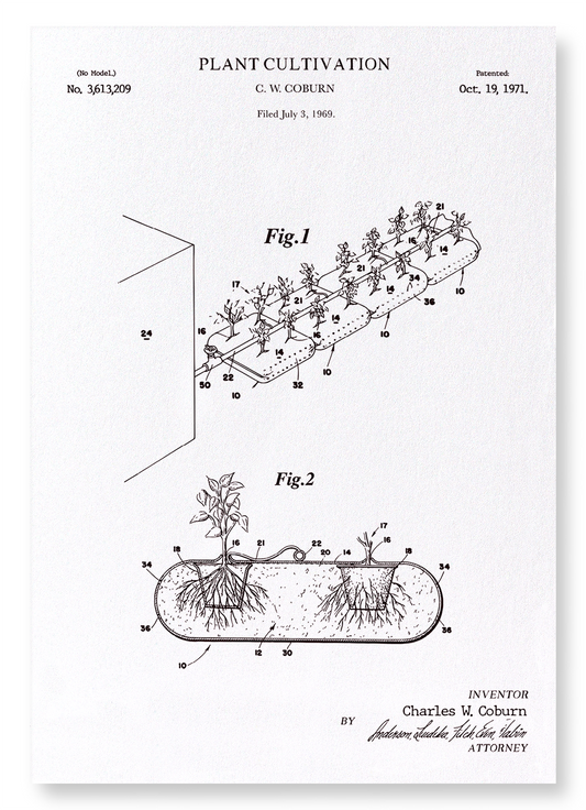 PATENT OF PLANT CULTIVATION (1971): Patent Art Print