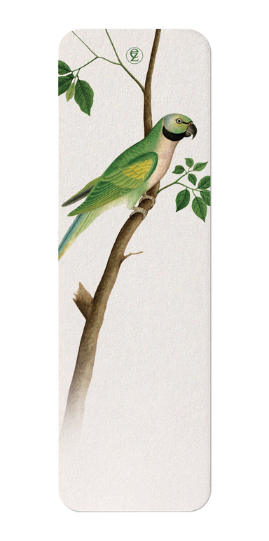 Ezen Designs - Green Parrot (c.1820) - Bookmark - Front