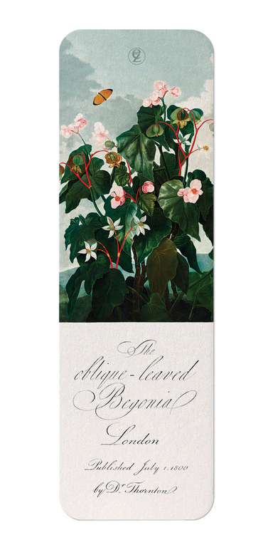 Ezen Designs - Oblique-leaved Begonia (c.1800) - Bookmark - Front