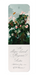 Ezen Designs - Oblique-leaved Begonia (c.1800) - Bookmark - Front