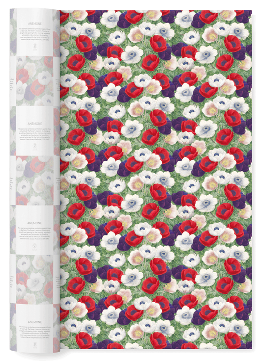 ANEMONE:  Wrapping Paper