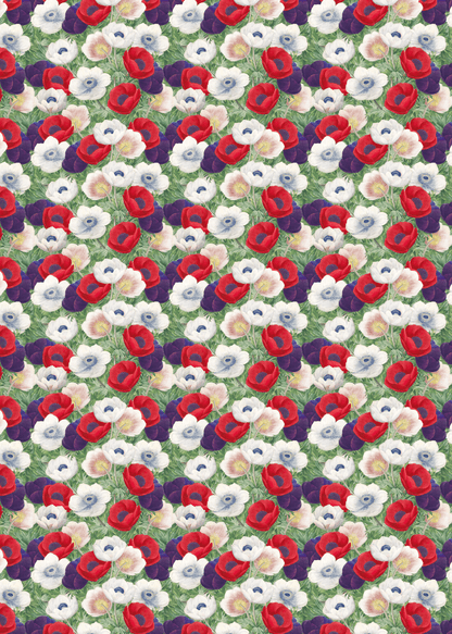 ANEMONE:  Wrapping Paper