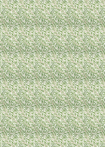 WILLOW BOUGHS: Wrapping Paper