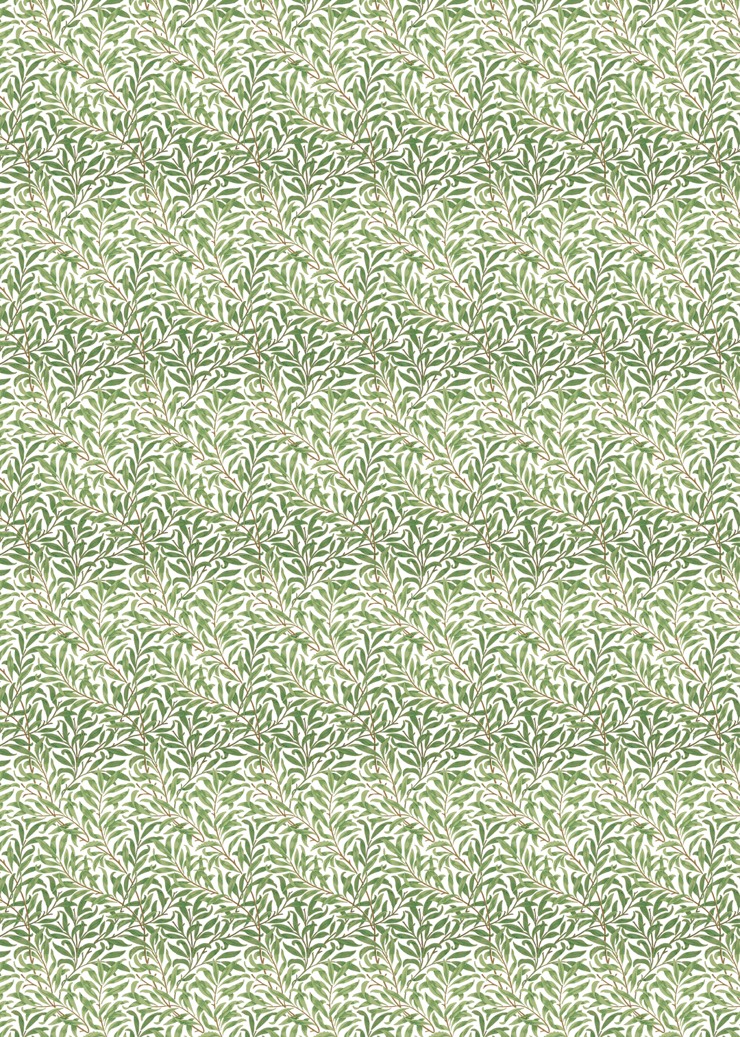 WILLOW BOUGHS: Wrapping Paper