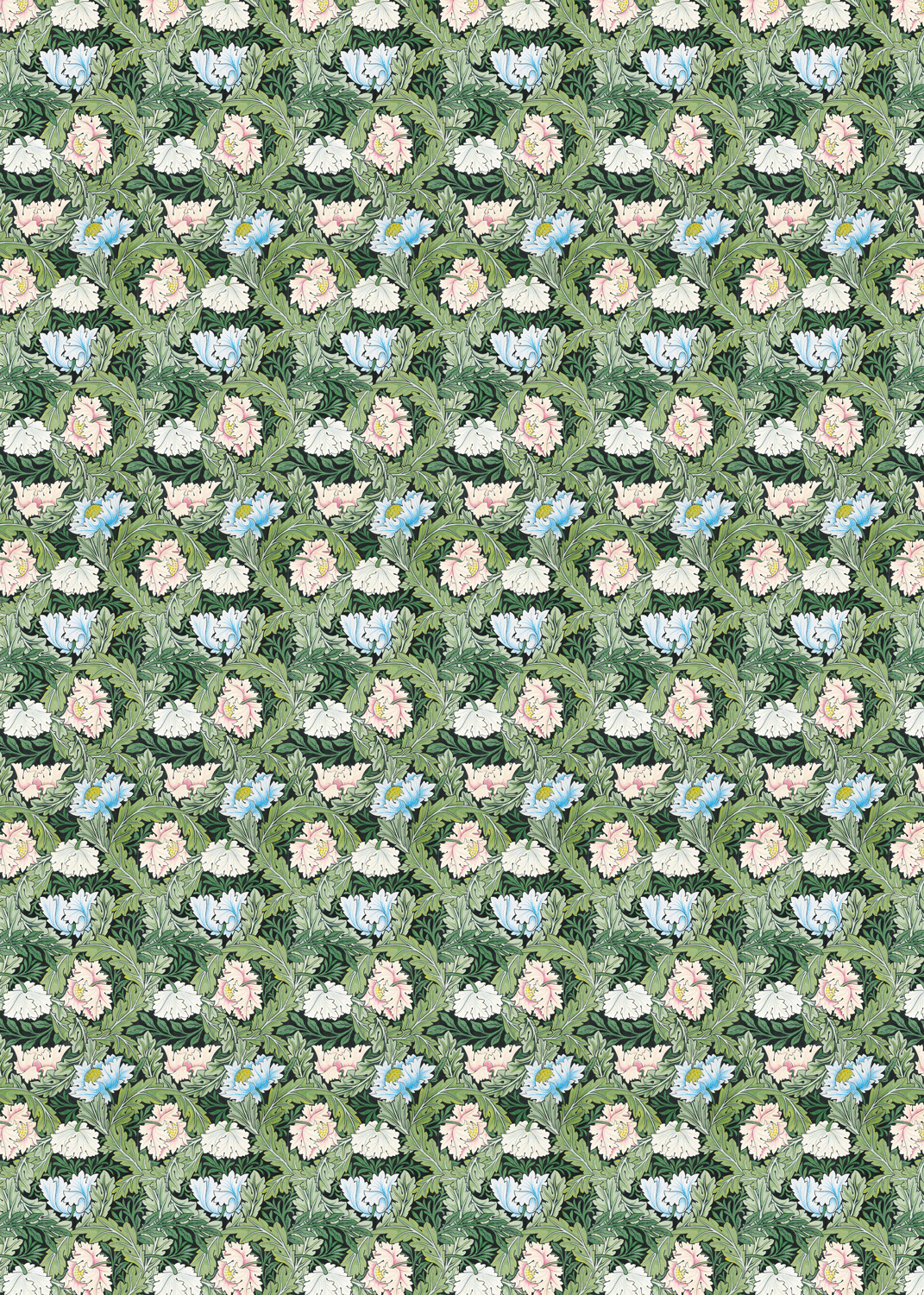 POPPIES AND ACANTHUS FLOWERS: Wrapping Paper