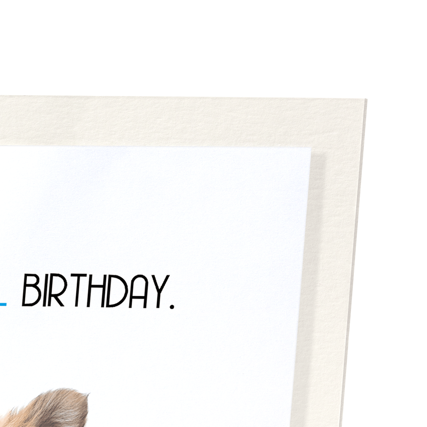 NOVEL BIRTHDAY: Funny Animal Art Print