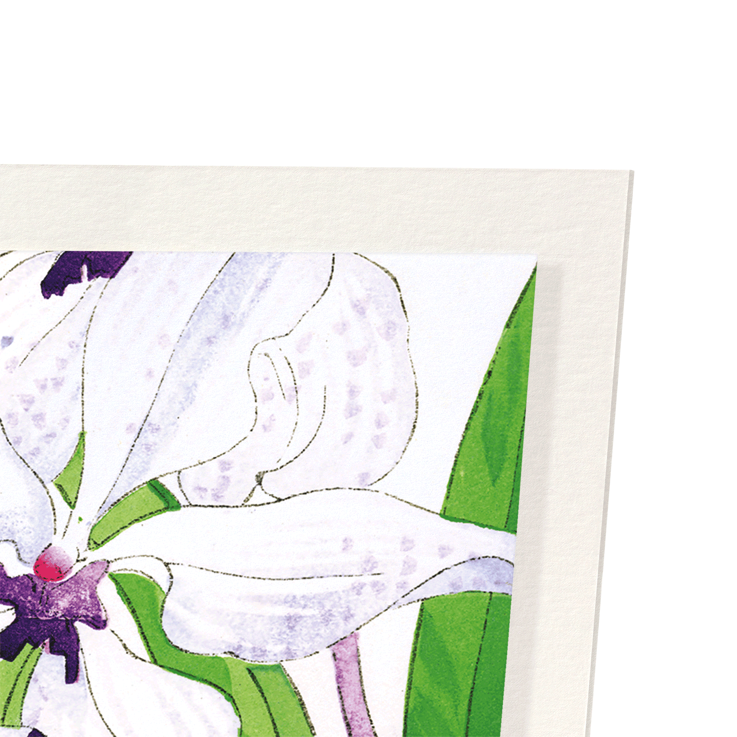 ORCHID: Botanical Art Print