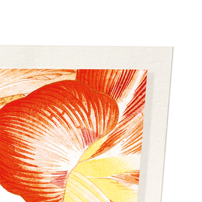 AMARYLLIS: Botanical Art Print