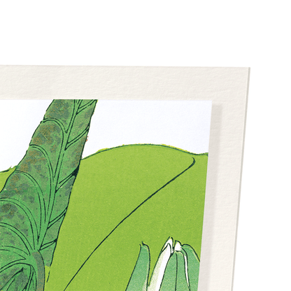 WATER LILY: Botanical Art Print