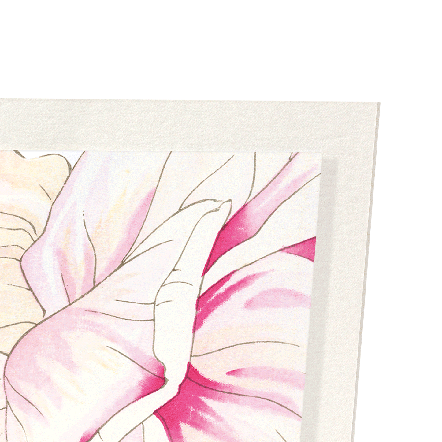 ROSE: Botanical Art Print