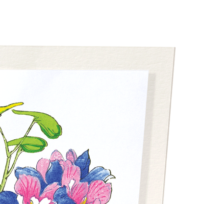DELPHINIUM FLOWERS: Botanical Art Print