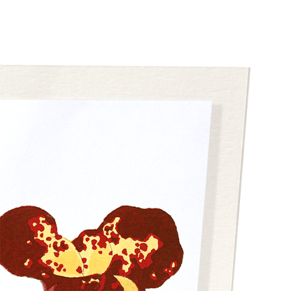 FLOWER STUDY: Botanical Art Print