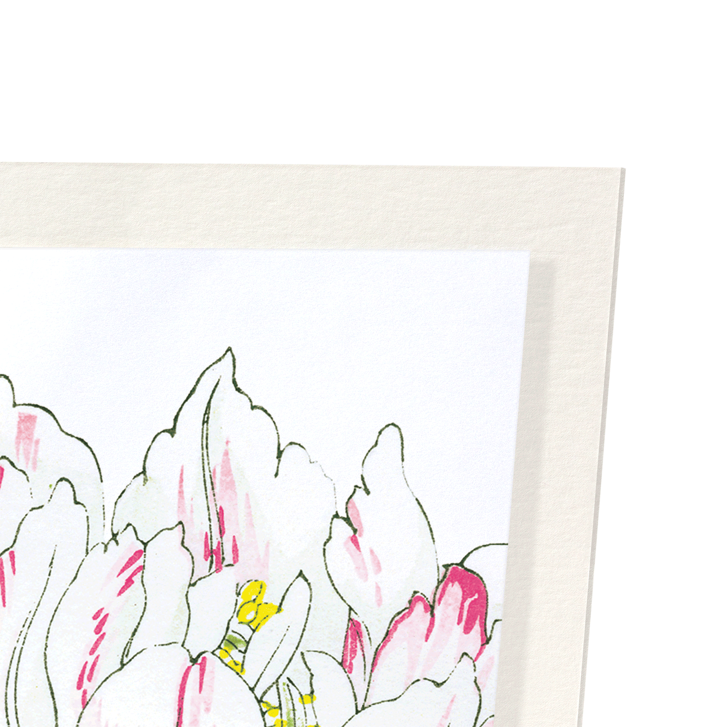 THREE FLOWERS: Botanical Art Print