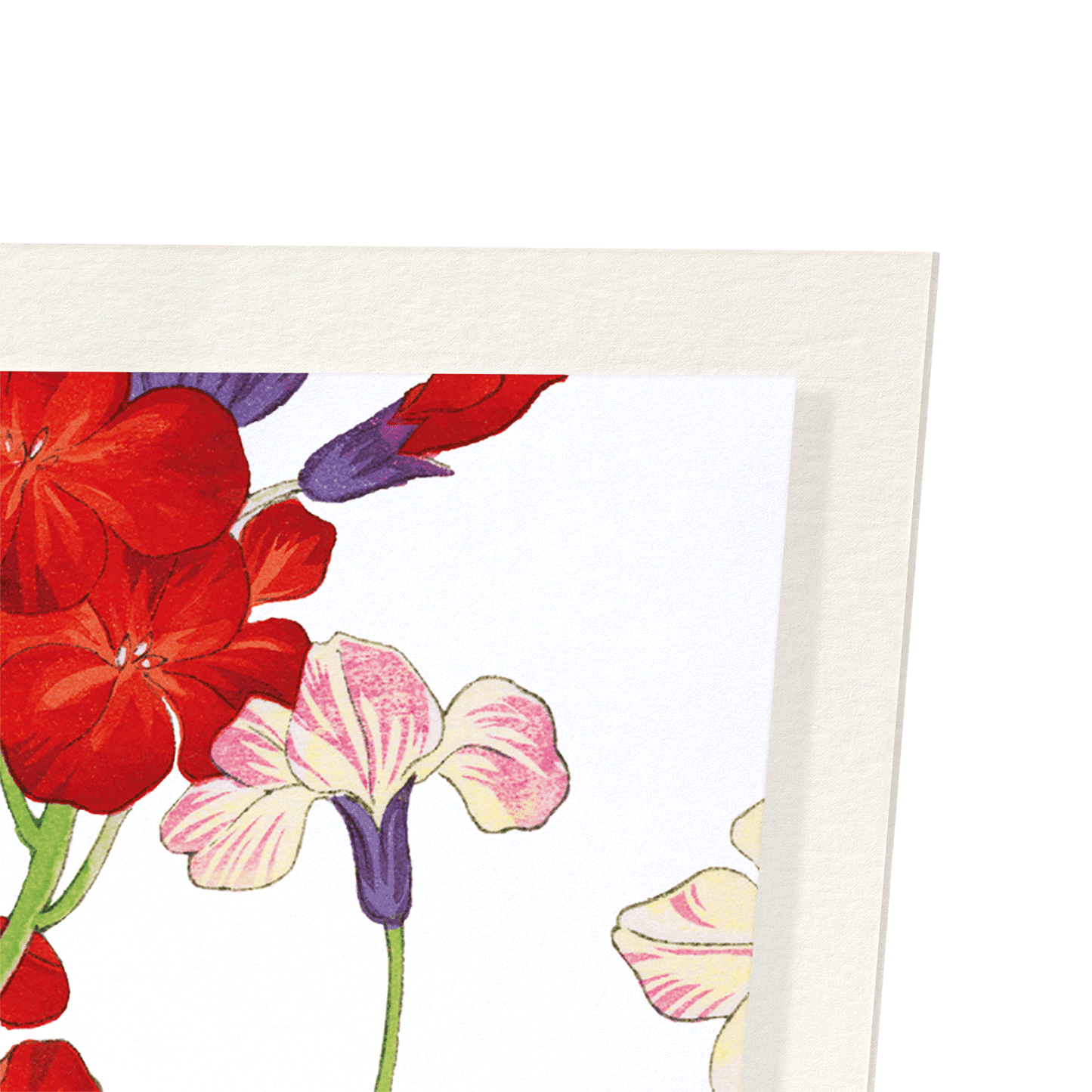 WALLFLOWER: Botanical Art Print