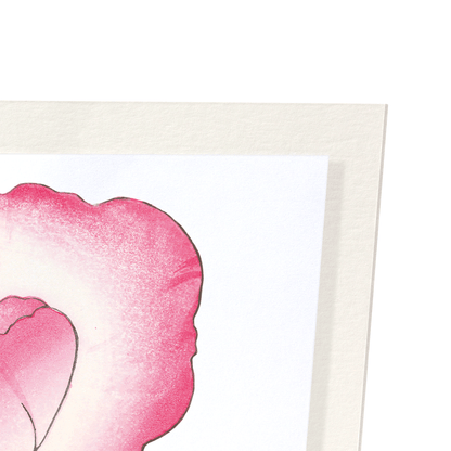PINK AND PURPLE POPPY: Botanical Art Print