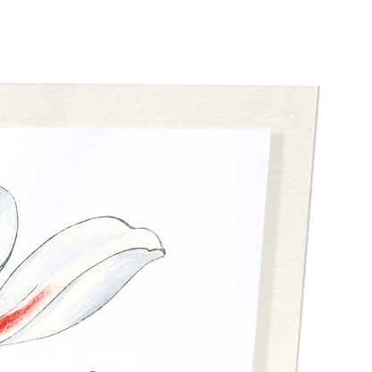 BLUE AND RED ANEMONE: Botanical Art Print