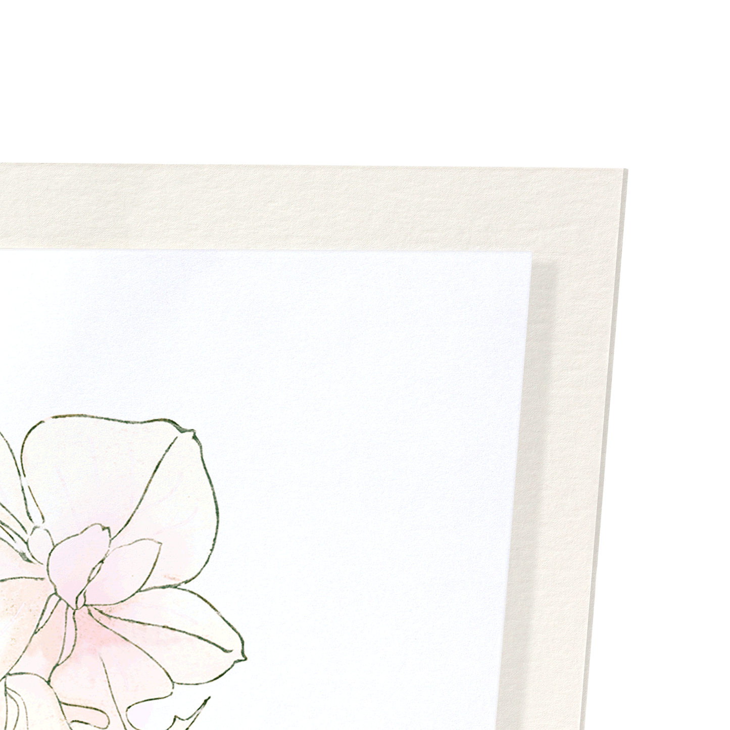 ORCHID: Botanical Art Print