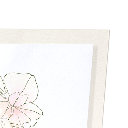 ORCHID: Botanical Art Print