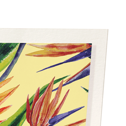 BIRDS OF PARADISE: Painting Art Print