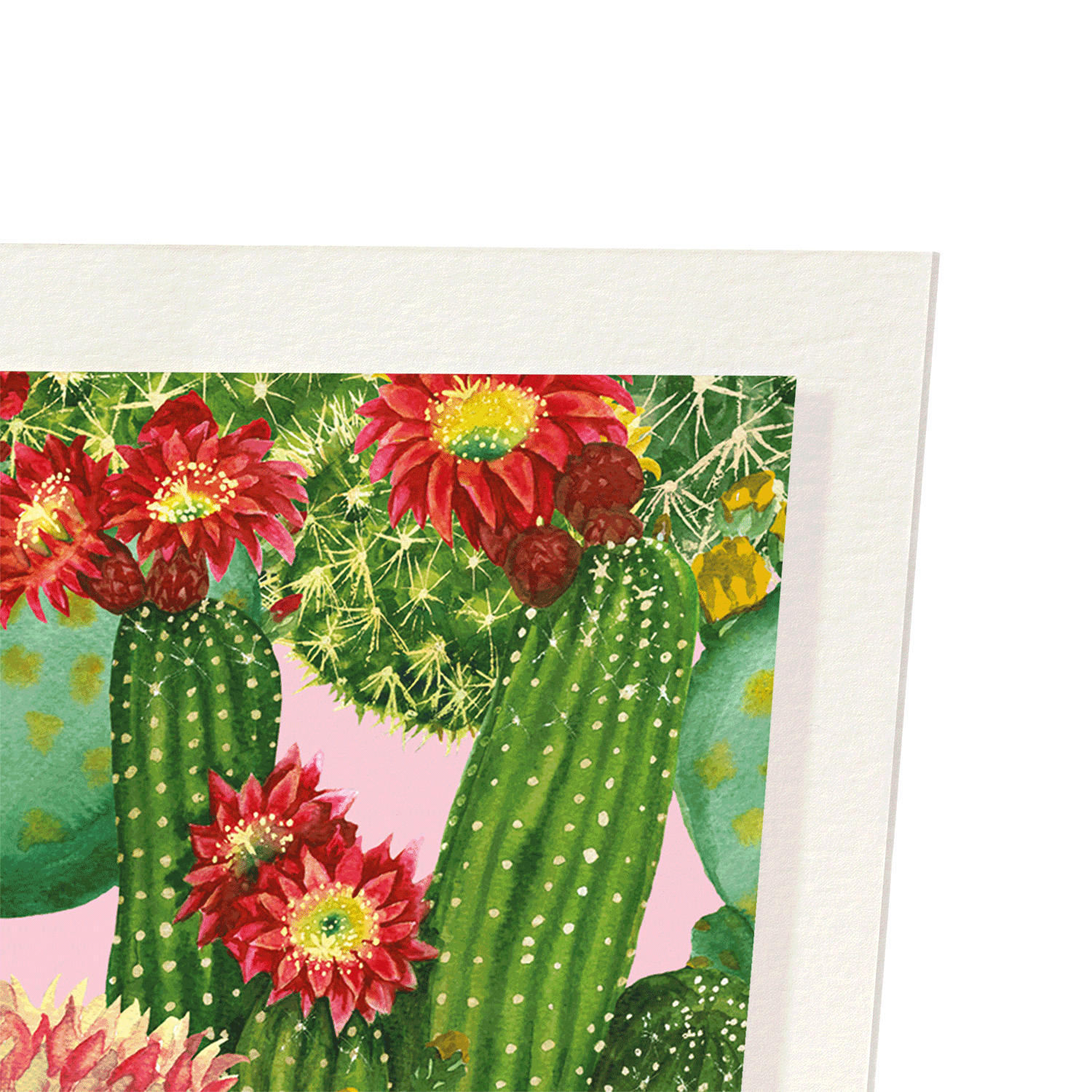 COLOURFUL CACTI: Painting Art Print